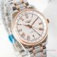 TW Swiss Longines Master Collection Automatic GMT 2-Tone Rose Gold Roman Dial Watches (5)_th.jpg